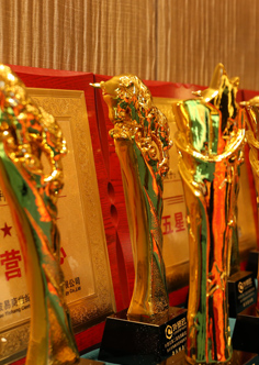 团队10